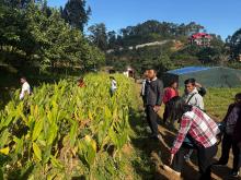 Day 1- Exposure Visit for MegARISE's VCFs & VPICs Members 