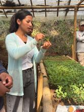 Day 2- Exposure Visit for MegARISE's VCFs & VPICs Members 